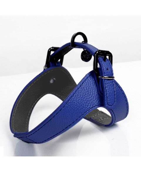 Dandy Harness - Blauw