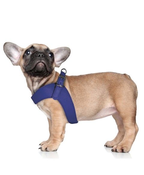 Dandy Harness - Blauw