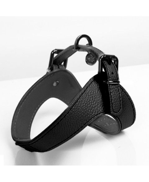Dandy Harness - Zwart