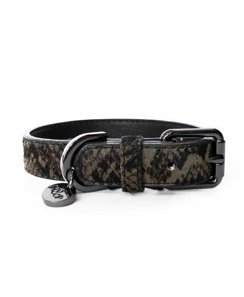 Iguania halsband