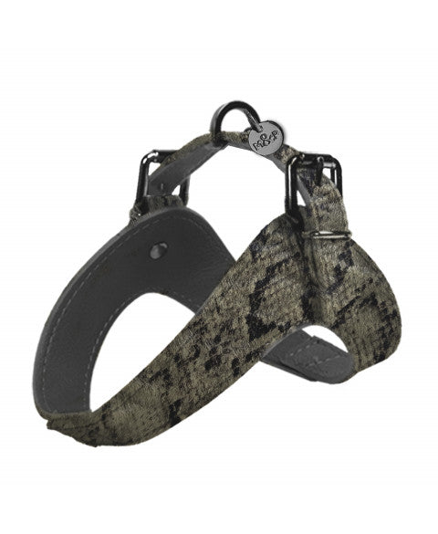 Dandy Harness - Iguania