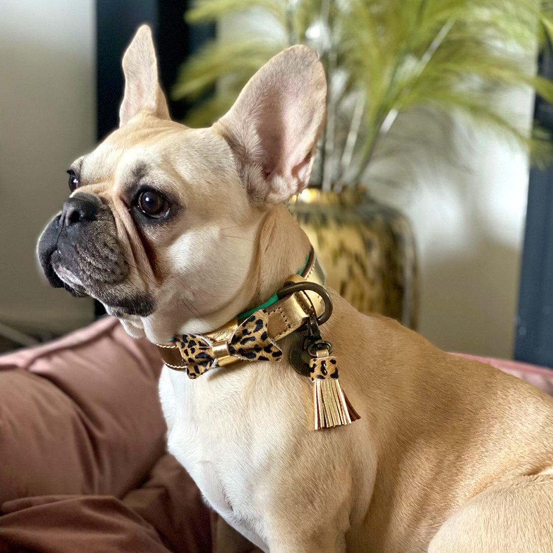 City bling halsband