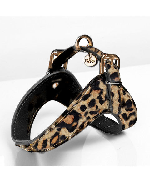Dandy Harness - Leopard