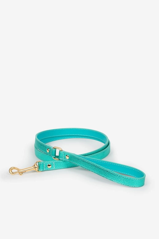 Metal - Turquoise lijn