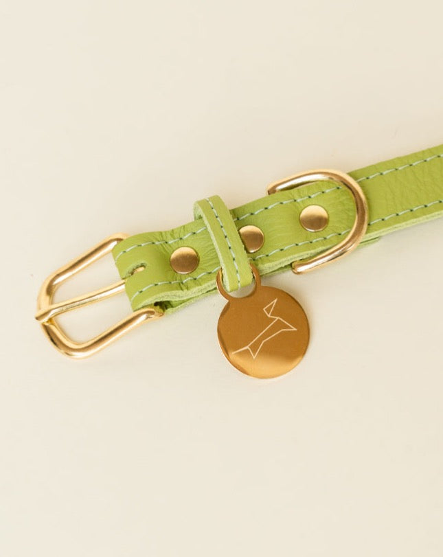Klassieke halsband - Apple Green