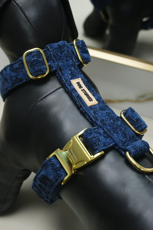 Panthera Blue Harnas