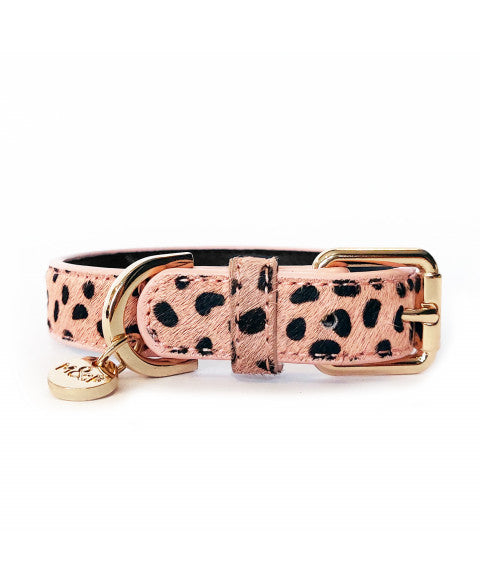 Guepard halsband