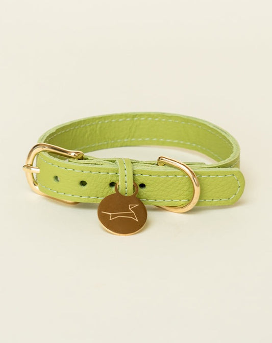 Klassieke halsband - Apple Green